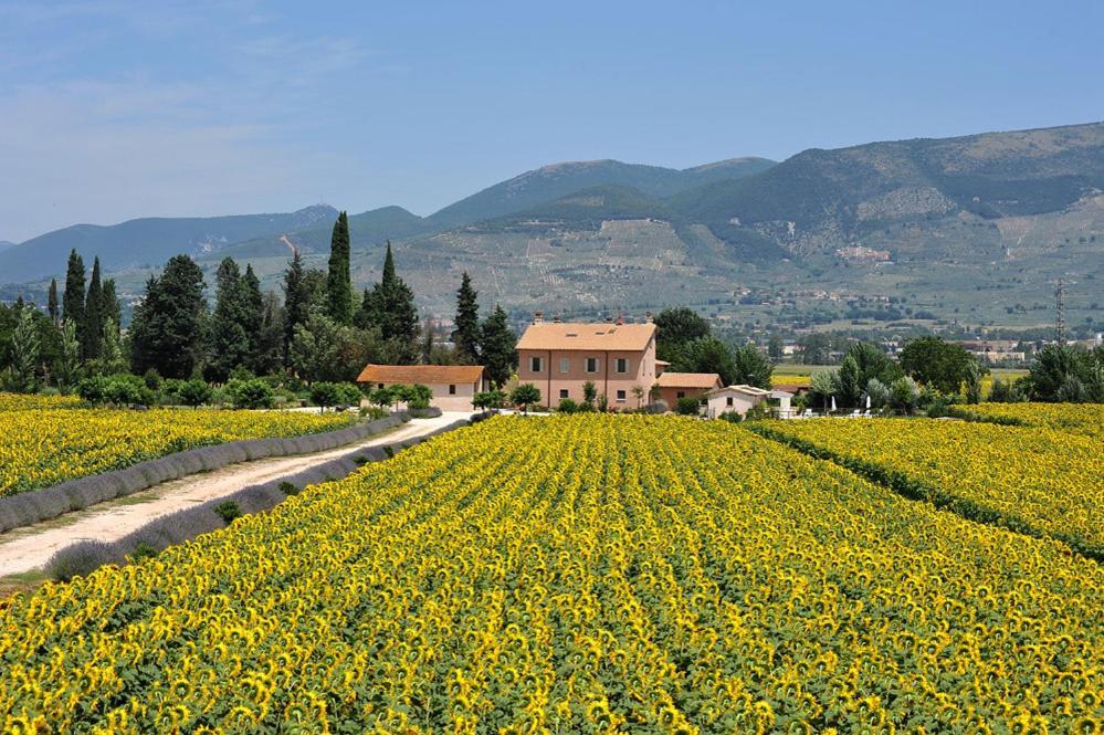 Country House Casco Dell'Acqua เตรวี ภายนอก รูปภาพ